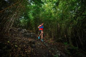 BIB: 
                            <button type="button" onclick="openModal(25094127)" class="btn btn-primary btn-sm float-right btn-popup" data-toggle="modal" data-target=".modal-high-quality">
                        <i class="fas fa-shopping-cart"></i> Add to Cart
                    </button>
                                            <button type="button" onclick="isThisMe(25094127, true)" class="btn btn-success btn-sm float-right btn-popup btn-isme hidden" data-toggle="tooltip" data-placement="bottom" title="นี่คือรูปของคุณใช่ไหม คลิกที่นี่เพื่อเอาเข้าอัลบั้ม">
                        <i class="fas fa-plus"></i> Add to album
                    </button>
                    <button type="button" onclick="isThisMe(25094127, false)" class="btn btn-warning btn-sm float-right btn-popup btn-isnotme hidden">
                        <i class="fas fa-ban"></i> Remove from album
                    </button>